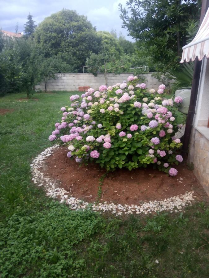 Franceschi * Porec