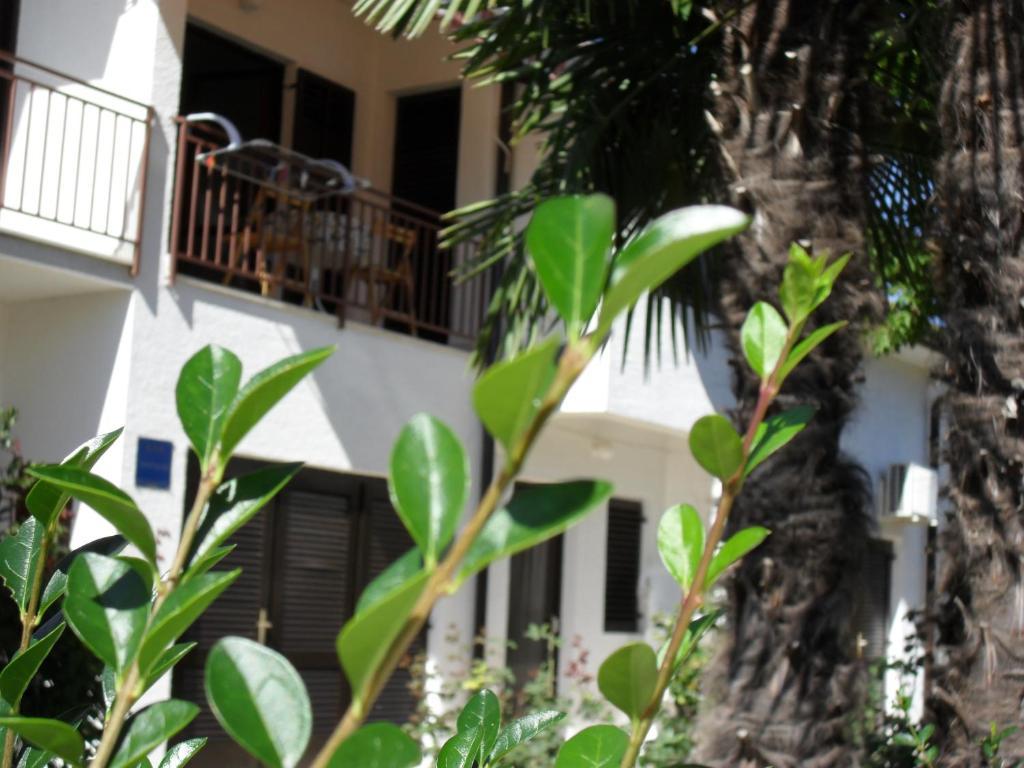 Apartment Franceschi Poreč